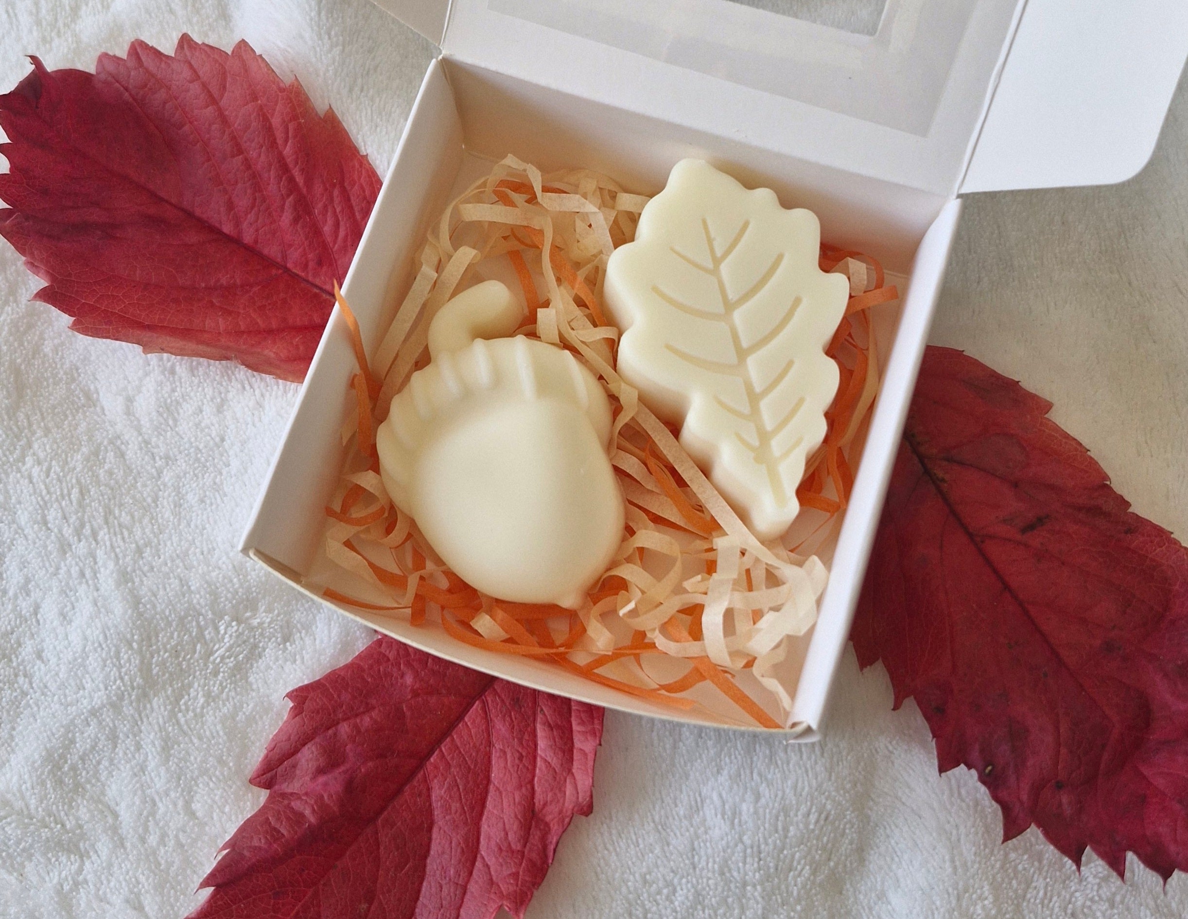 Fondants parfumés automne citrouille feuilles 55g cire soja