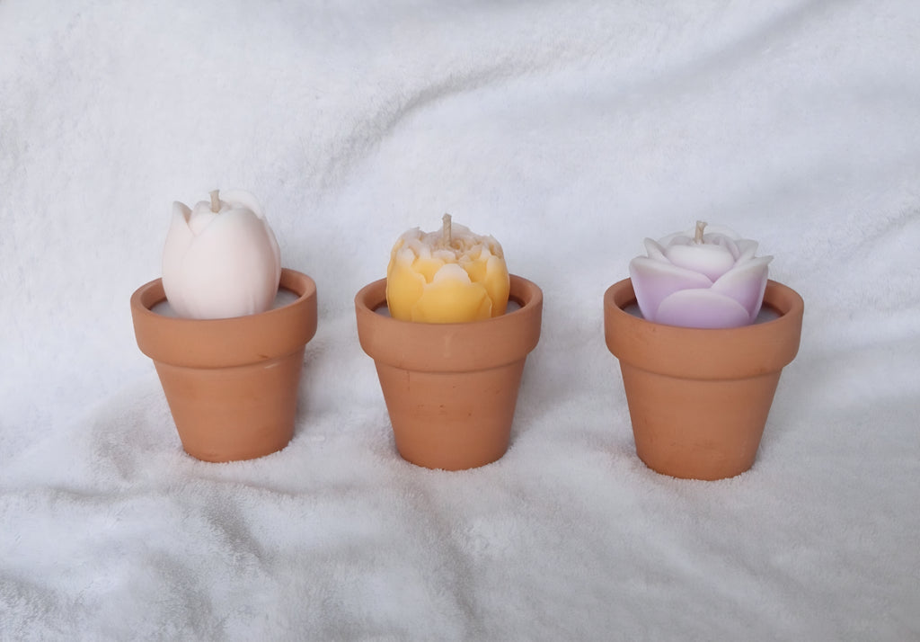 Bougie Parfumée Pot de Fleur – Cadeau Fin d'Année