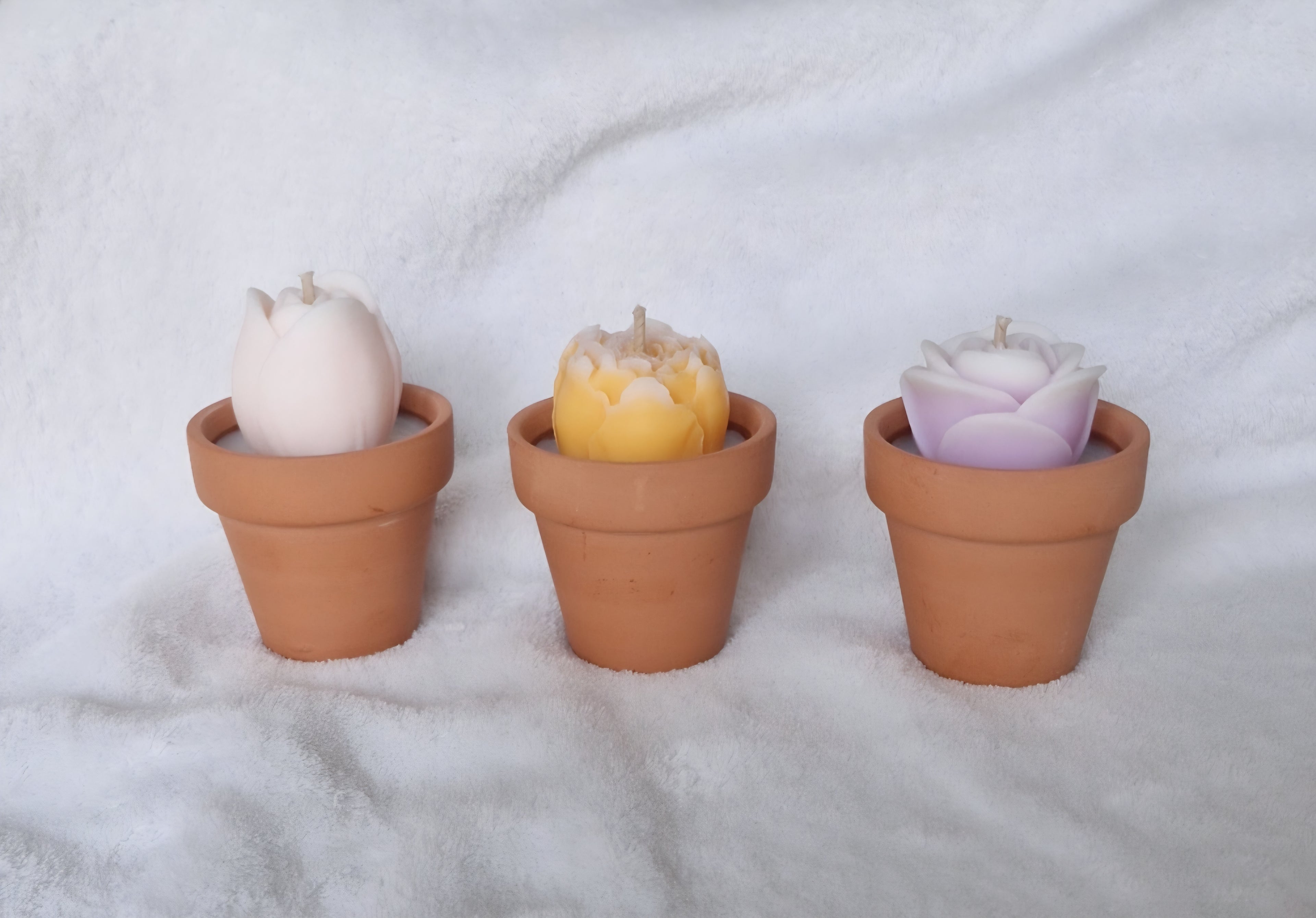 Bougie Parfumée Pot de Fleur – Cadeau Fin d'Année