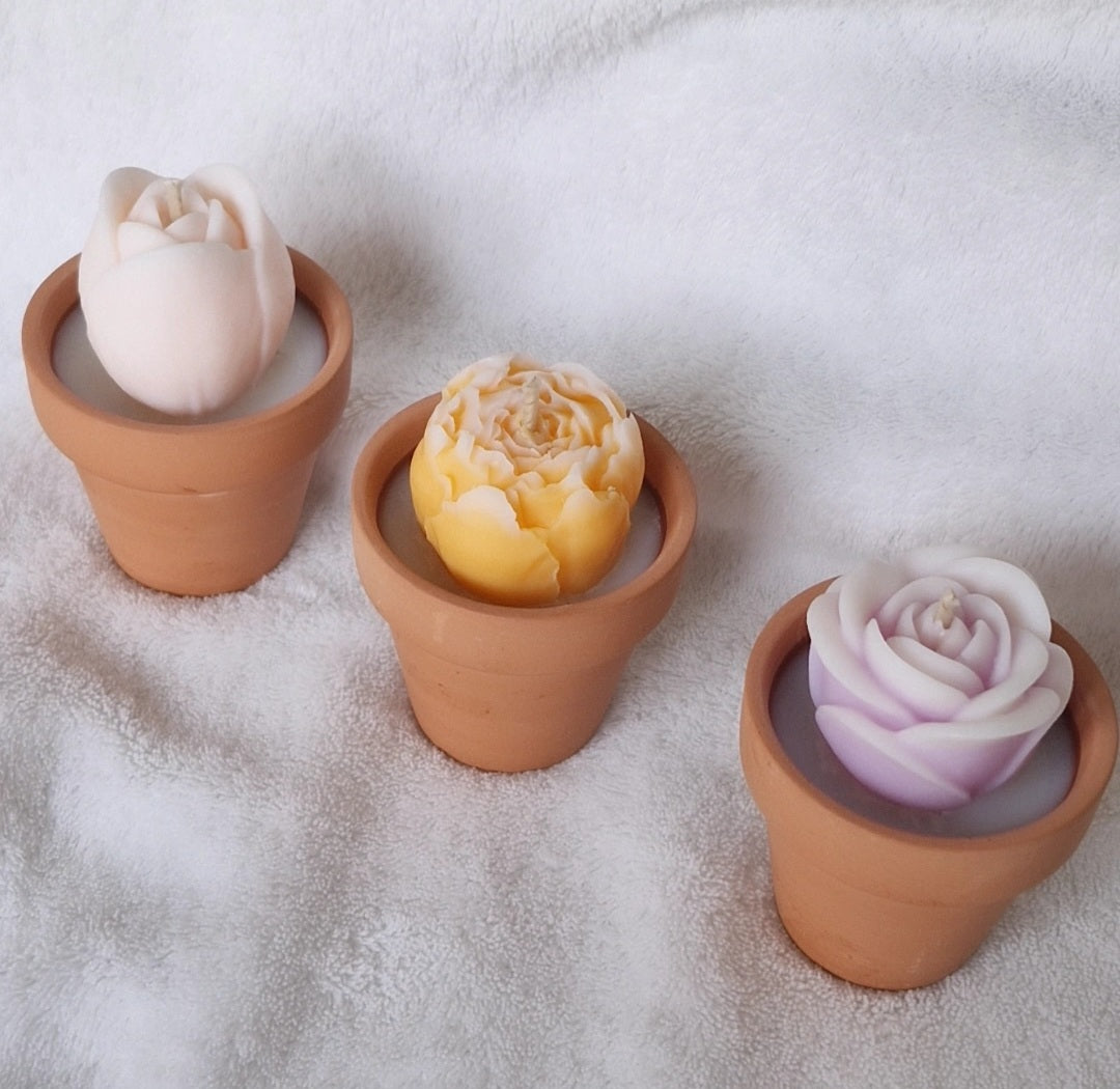 Bougie Parfumée Pot de Fleur – Cadeau Fin d'Année