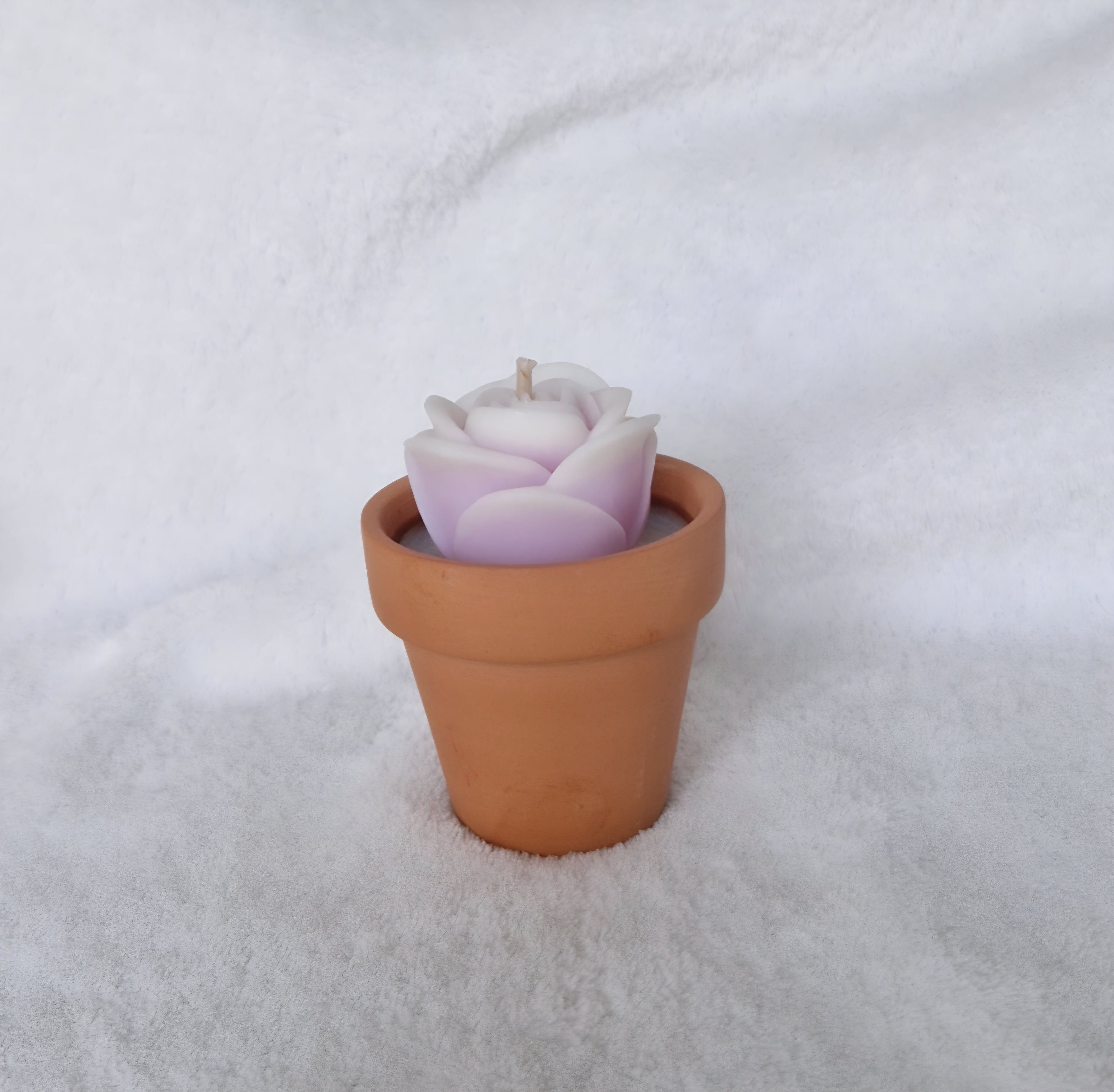 Bougie Parfumée Pot de Fleur – Cadeau Fin d'Année