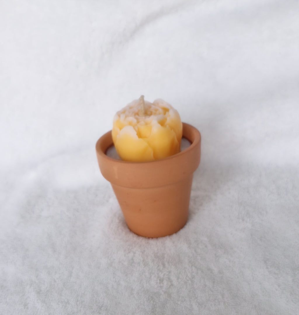 Bougie Parfumée Pot de Fleur – Cadeau Fin d'Année