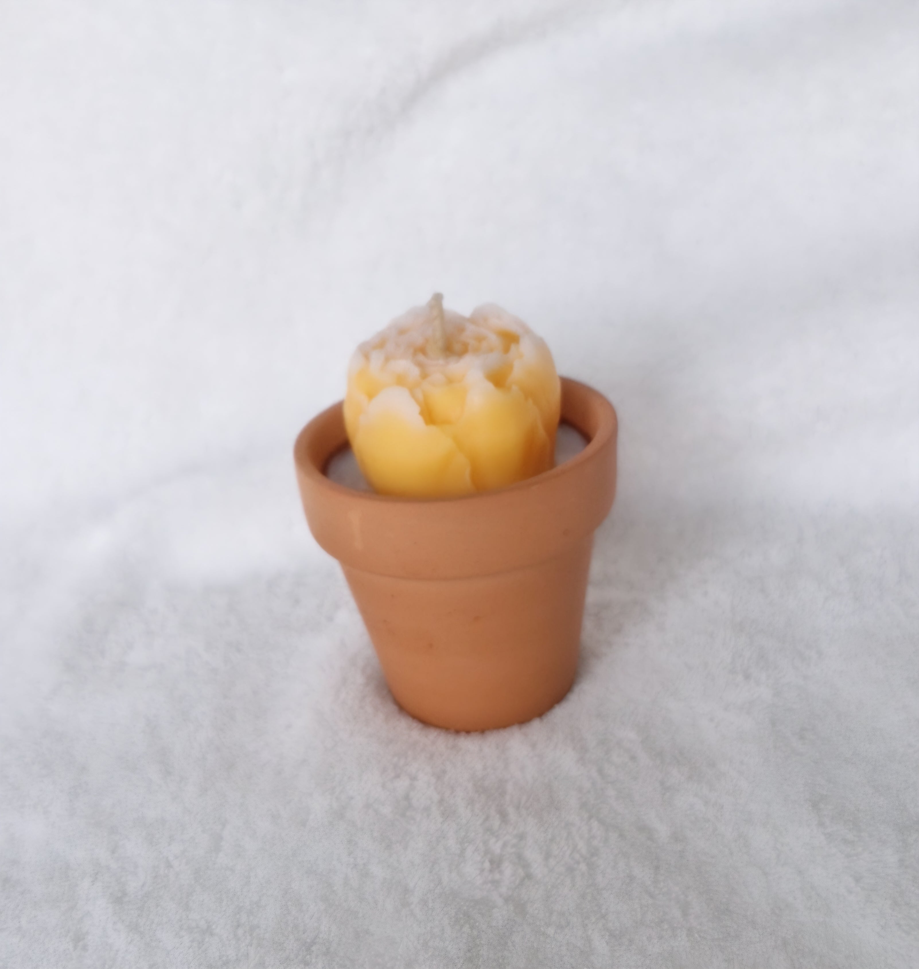 Bougie Parfumée Pot de Fleur – Cadeau Fin d'Année