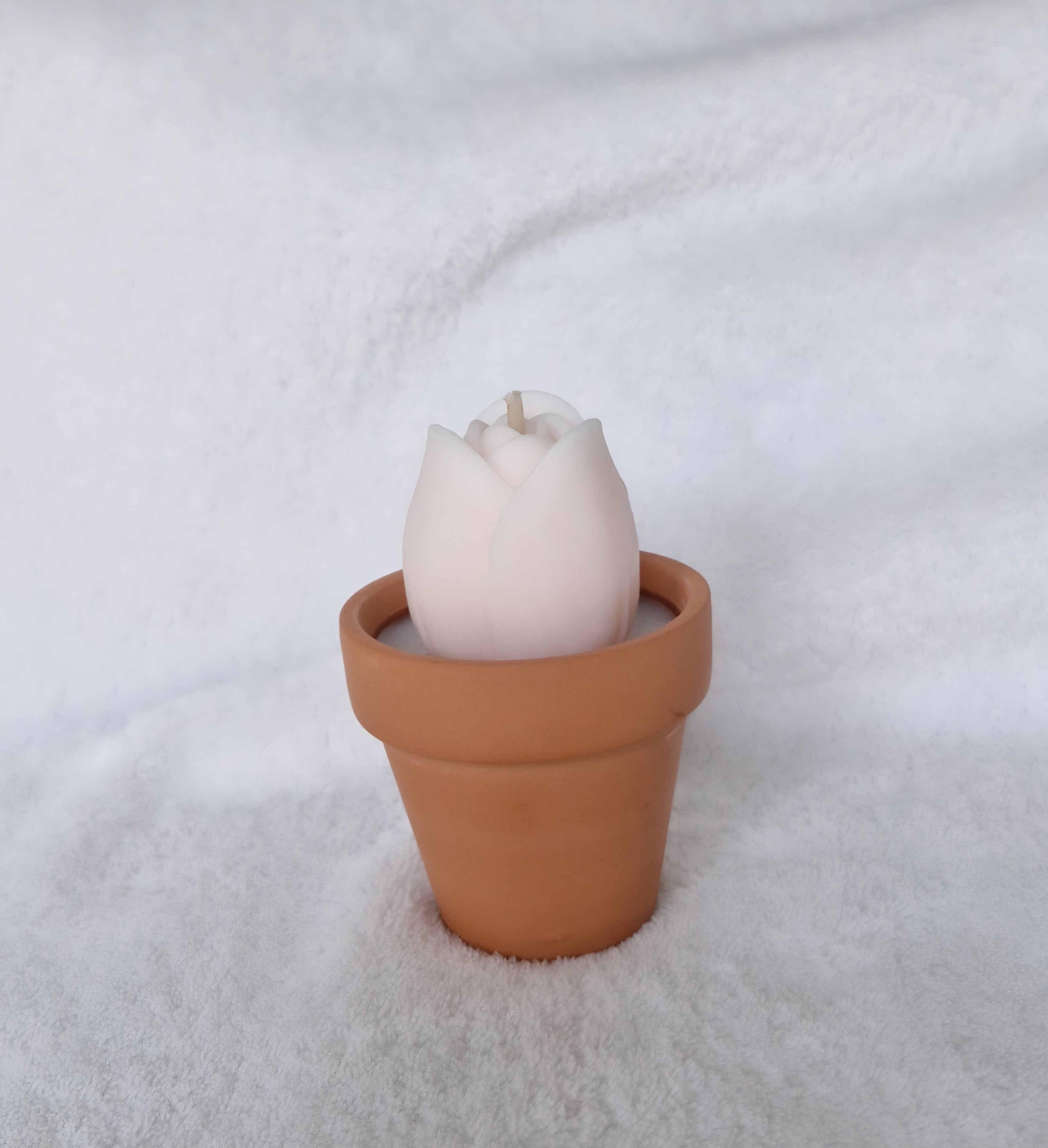 Bougie Parfumée Pot de Fleur – Cadeau Fin d'Année