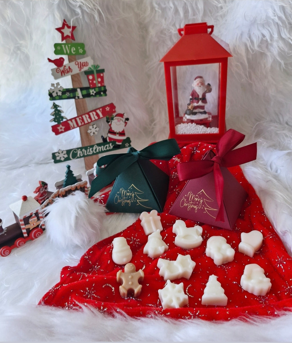 Box fondants parfumés Noël 50g cire végétale 